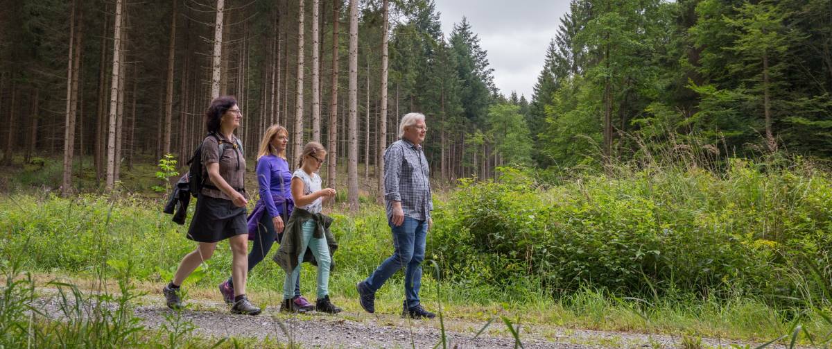 Bleiwäscher Bächeweg bei Bad Wünnenberg © Davies